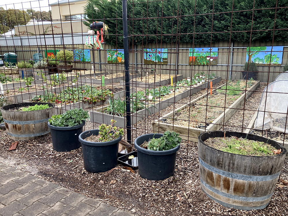 Kitchen Garden