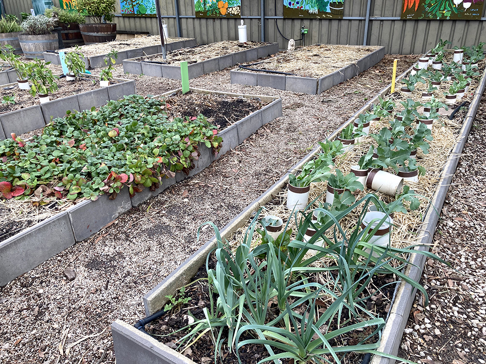 Kitchen Garden