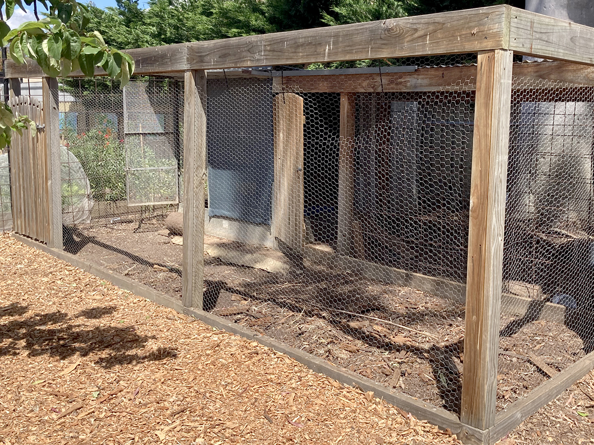 Chicken Coop