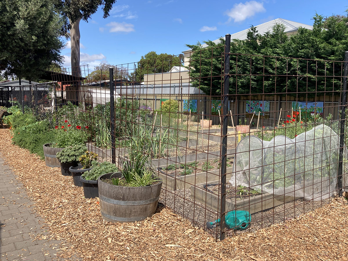 Kitchen Garden