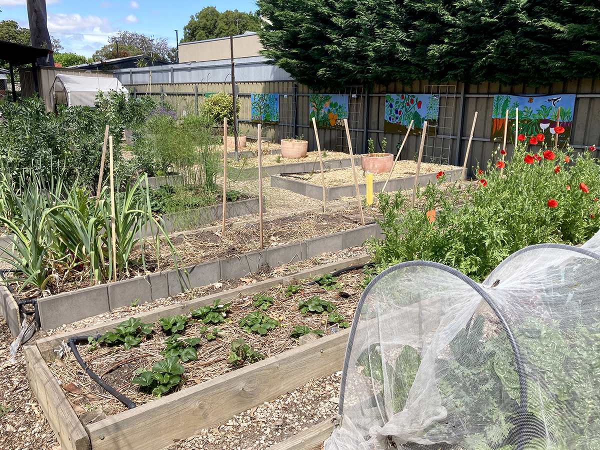 Kitchen Garden