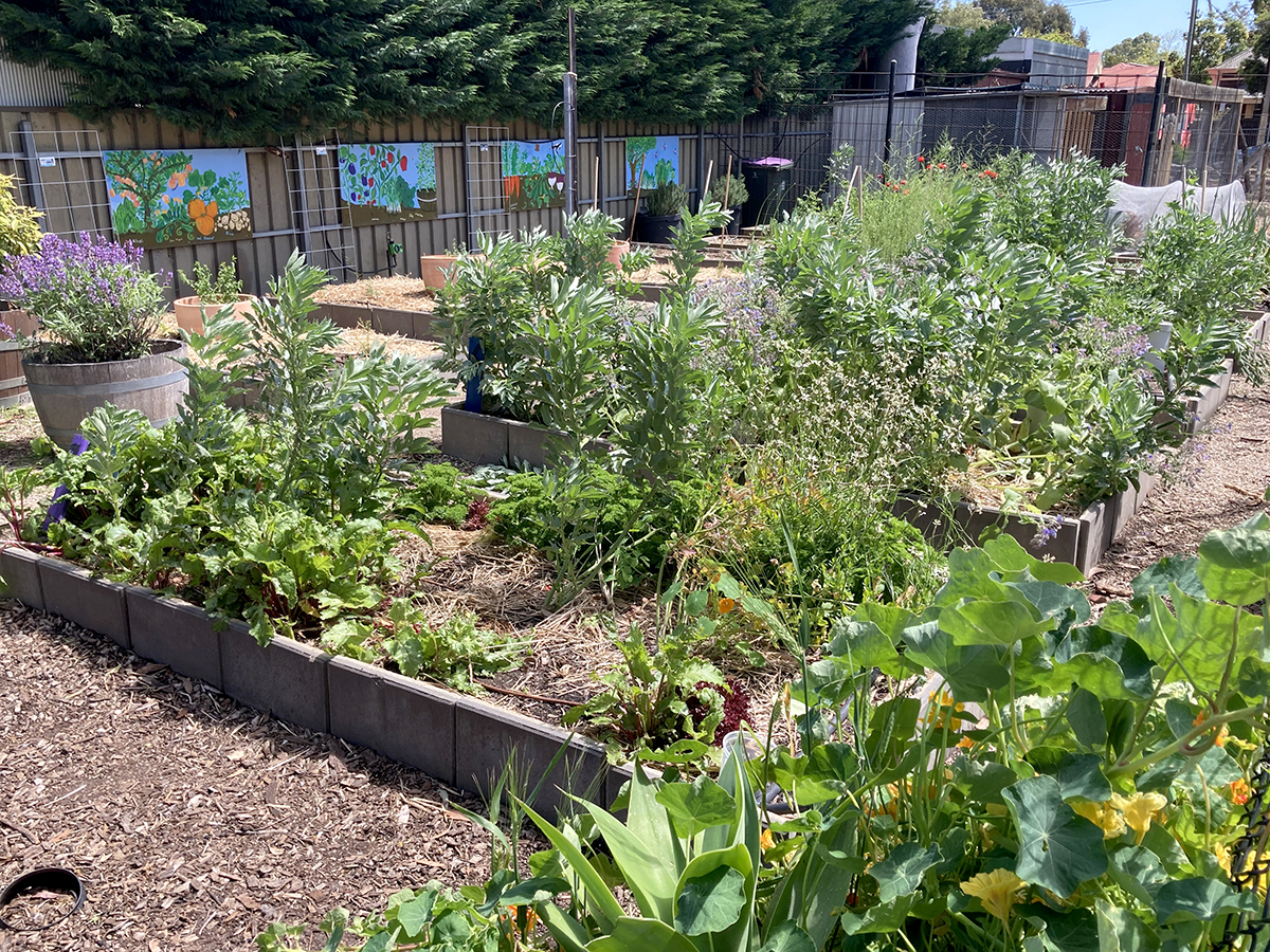 Kitchen Garden