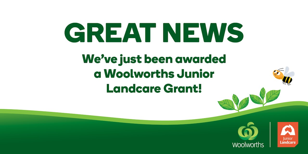 Woolworths Junior Landcare Grant